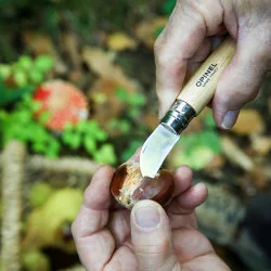 COUTEAU TRADITION OPINEL N°07 CHATAIGNEE LAME 40MM