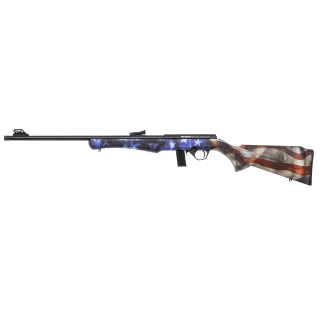 CARABINE 8122 22LR USA