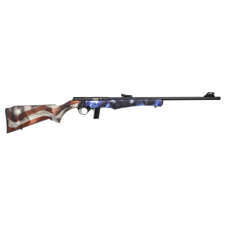 CARABINE 8122 22LR USA