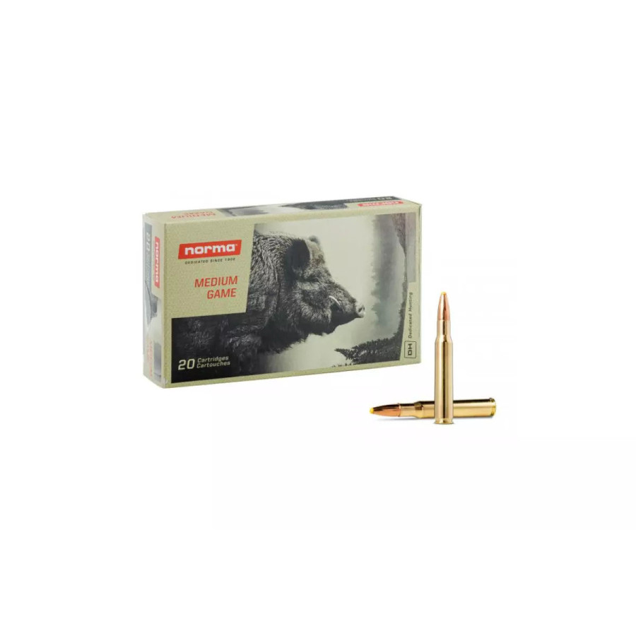 MUNITIONS NORMA 30-06 SPRG...