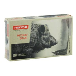 MUNITIONS NORMA 30-06 SPRG...