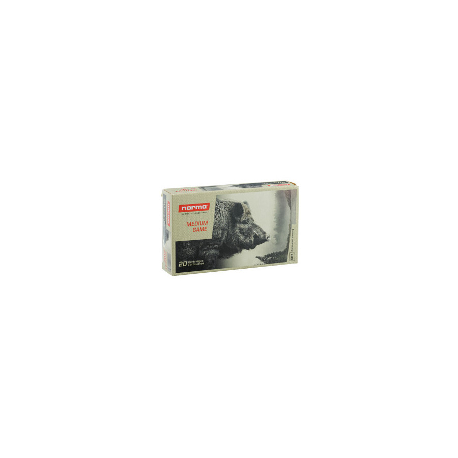 MUNITIONS NORMA 30-06 SPRG...
