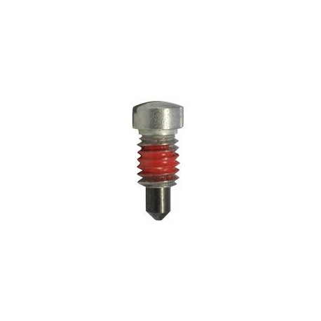 VIS DE PLAQUE S&W INOX SW