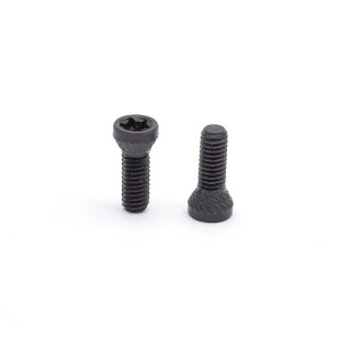 VIS DE POIGNEE EEMANN TECH POUR CZ / TANFOGLIO - LOT DE 2