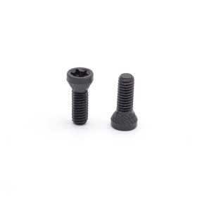 VIS DE POIGNEE EEMANN TECH POUR CZ / TANFOGLIO - LOT DE 2