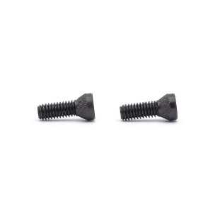 VIS DE POIGNEE EEMANN TECH POUR CZ / TANFOGLIO - LOT DE 2