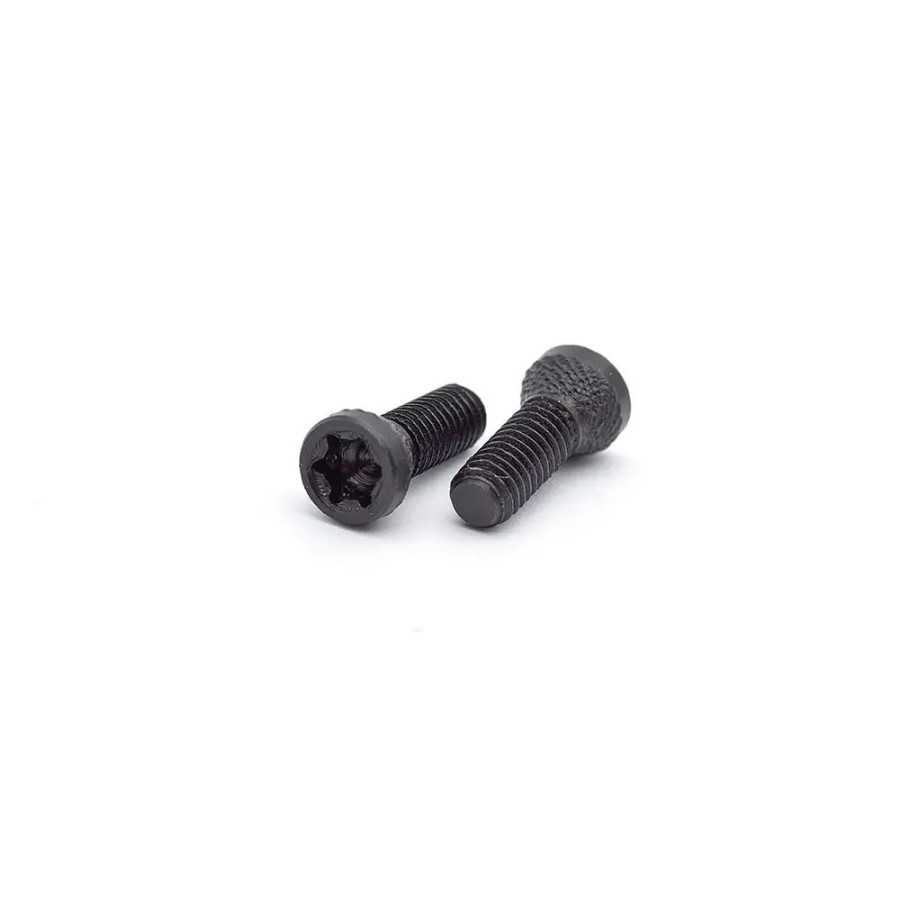 VIS DE POIGNEE EEMANN TECH POUR CZ / TANFOGLIO - LOT DE 2