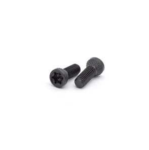 VIS DE POIGNEE EEMANN TECH POUR CZ / TANFOGLIO - LOT DE 2