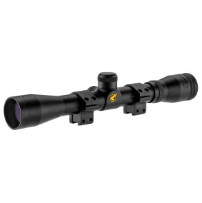 PACK CARABINE QUIET BLACK 4.5MM+LUNETTE 4x32 WR+250 PLOMBS+50 CIBLES GAMO - 2